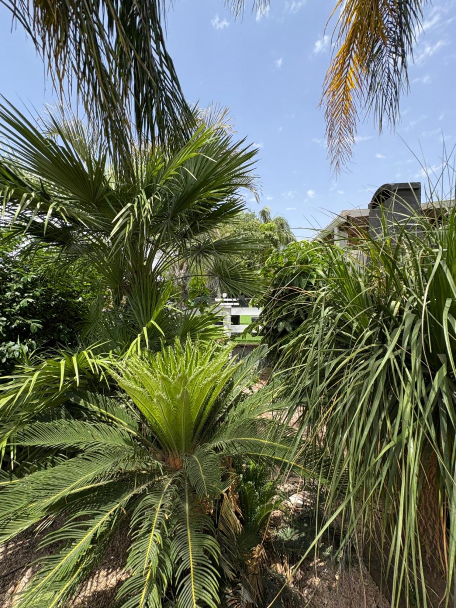 Kesem Bagolan Villa Had Nes Dış mekan fotoğraf