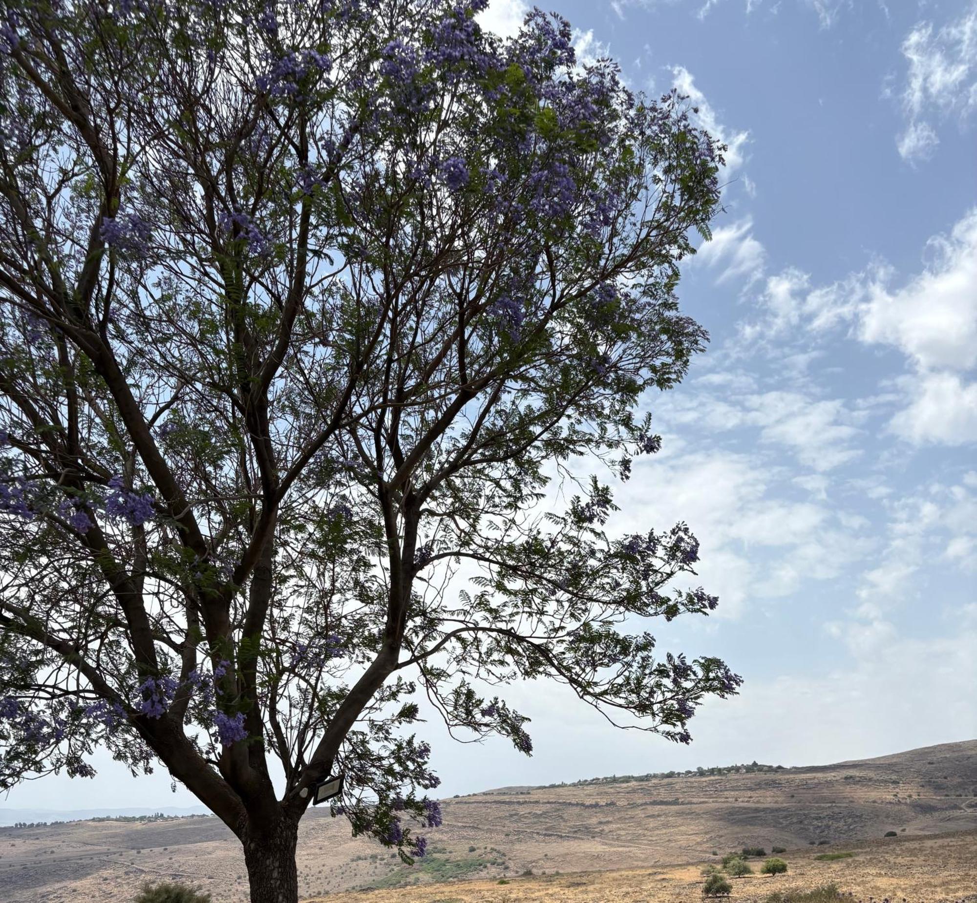 Kesem Bagolan Villa Had Nes Dış mekan fotoğraf